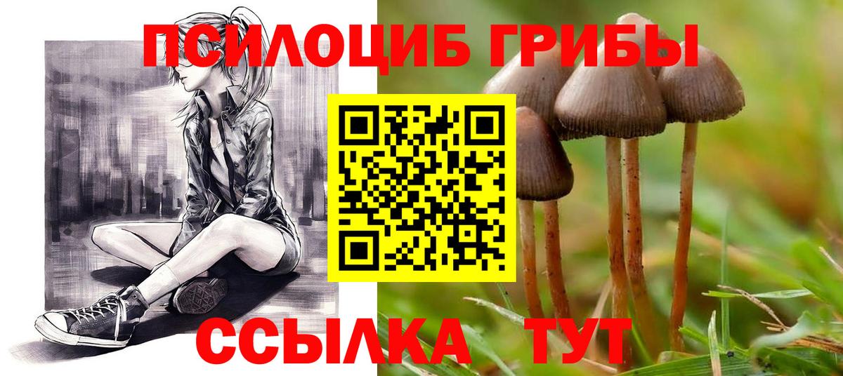 Псилоцибиновые грибы мухоморы  Вход с VPN  Красноуфимск  Галлюциногенные грибы ЛСД 